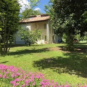 Acero Giallo Parme